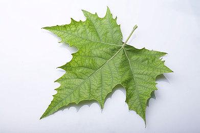 Remedy正为本世代平台重制《马克思佩恩》1＆2代